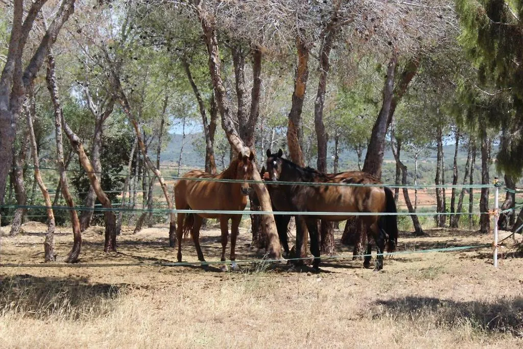 Campsite Rocaplana Club De Campo Hotel Vilarrodona Spain