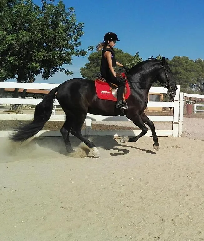캠프장 Rocaplana Club De Campo 호텔 Vilarrodona 스페인